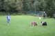 Thumbs/tn_Bild 009.jpg